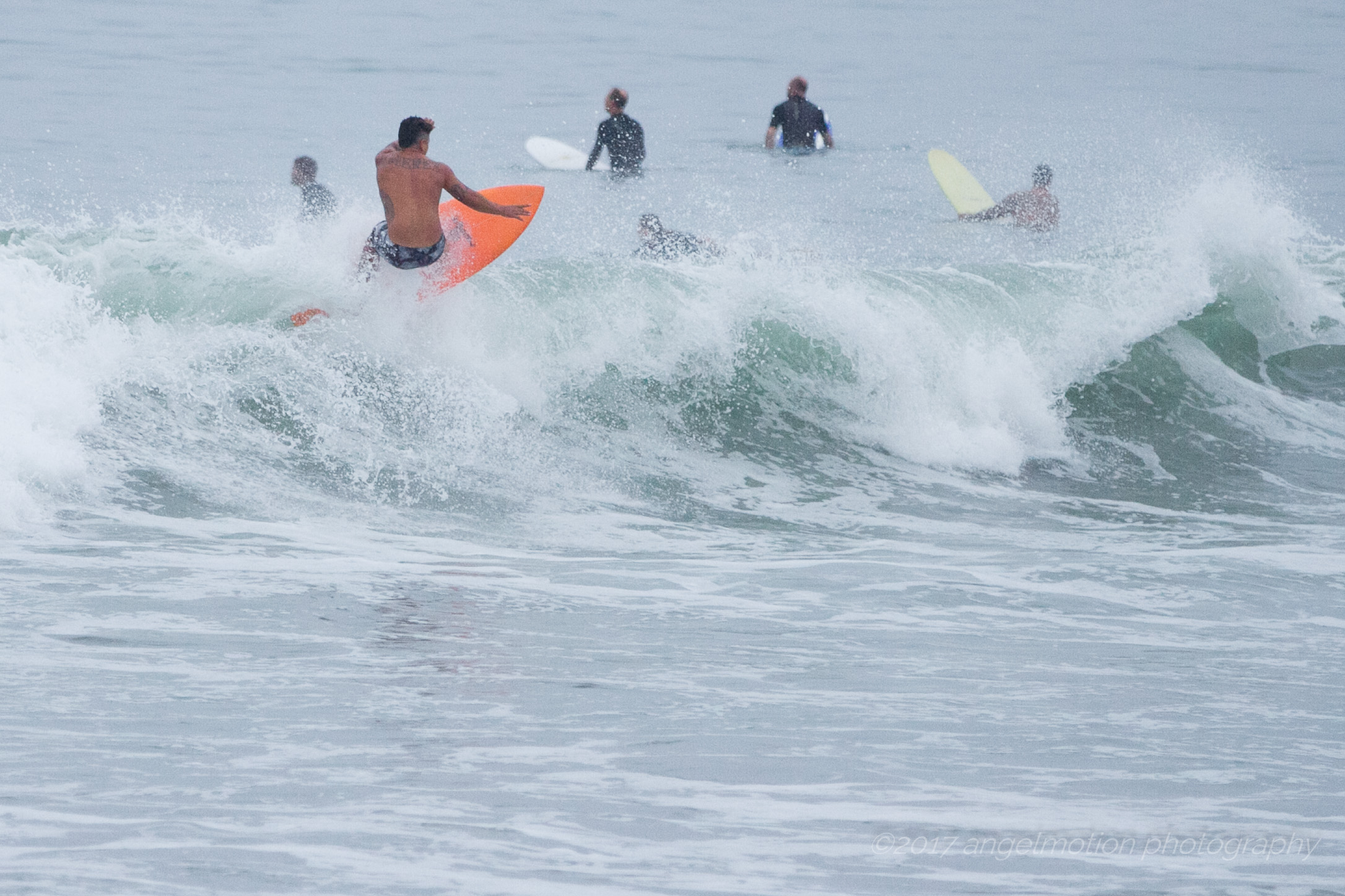 ocean beach surfing photography and web design