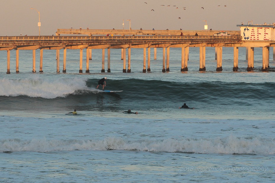 angelmotion surfing photography, web design